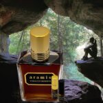 A bottle of perfume sitting in the middle of a cave.